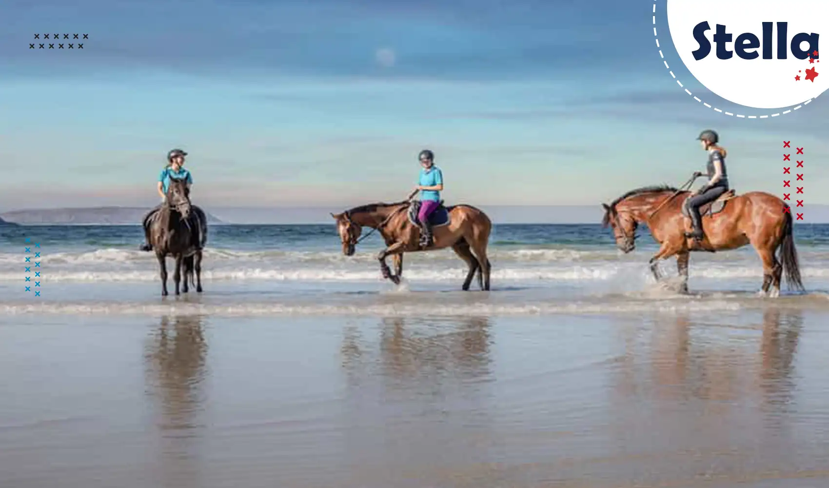 Vivez une balade à cheval romantique sur la plage ou dans le désert d’Hurghada – calme, nature et évasion garantis.
