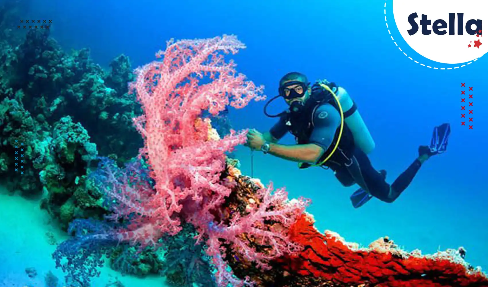 Sortie plongée avec deux immersions guidées dans la mer Rouge pendant des excursions hurghada inoubliables.