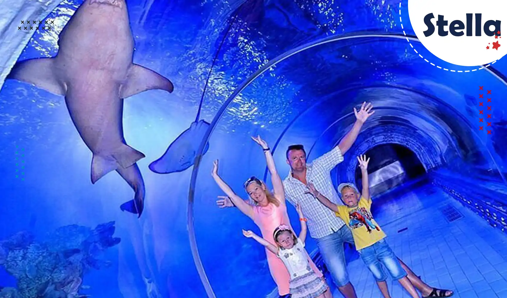 Plongez dans le monde marin au Grand Aquarium de Hurghada – requins, raies et poissons tropicaux à découvrir en famille.